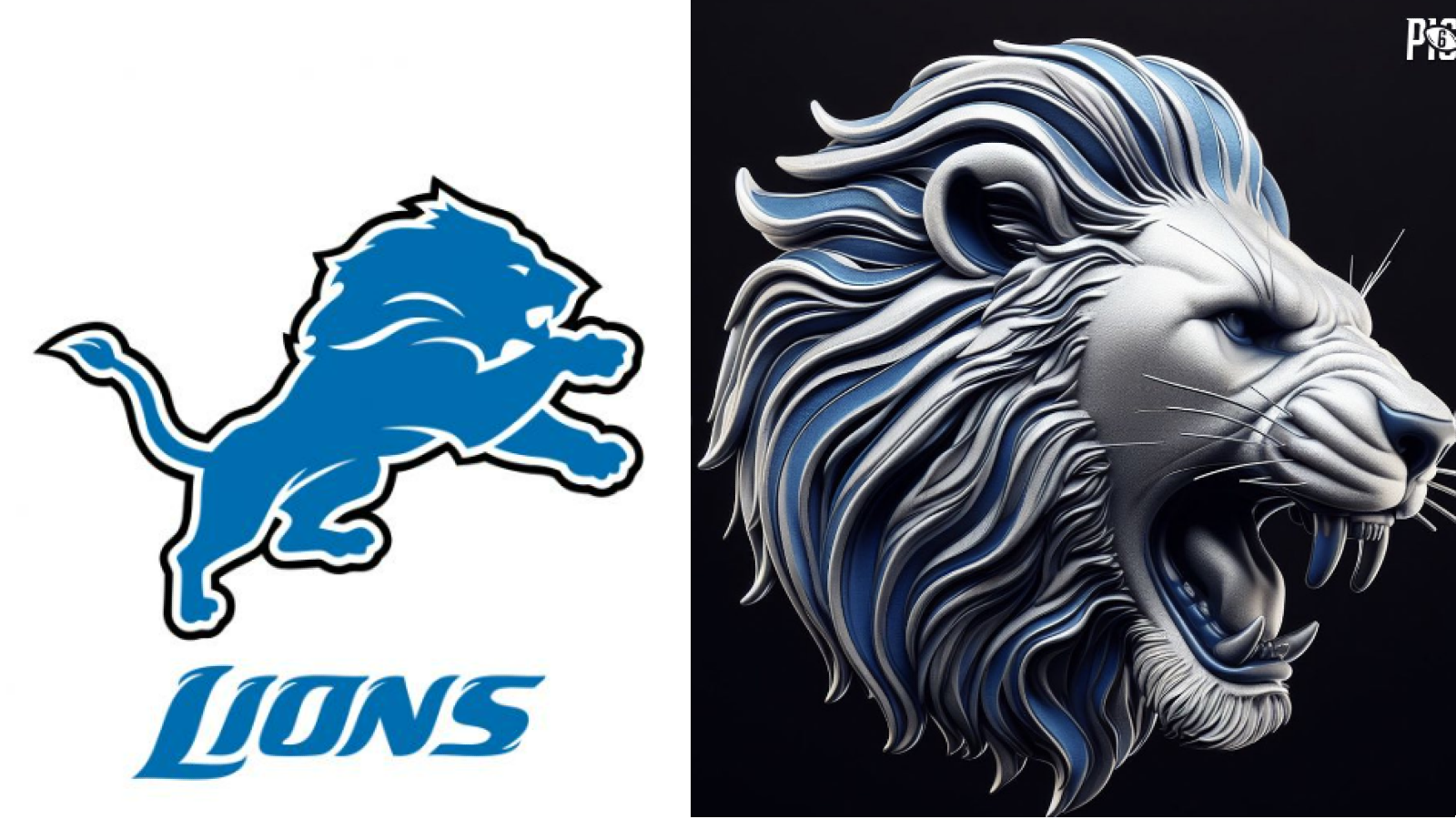 <strong>Detroit Lions</strong>