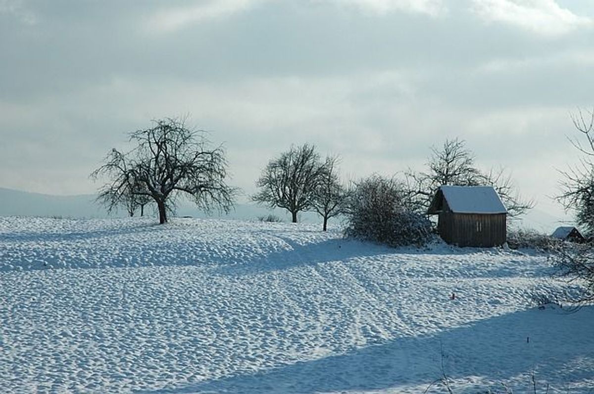 silvesterim schnee