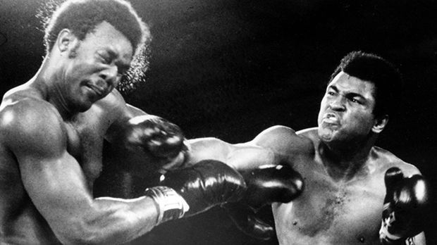 
                <strong>George Foreman (1968)</strong><br>
                George Foreman (1968): Davor boxte er unter anderem gegen Joe Frazier, Evander Holyfield oder Axel Schulz. Legendär ist der "Rumble in the Jungle" gegen Muhammad Ali 1974, den er durch Knock-Out verlor.
              