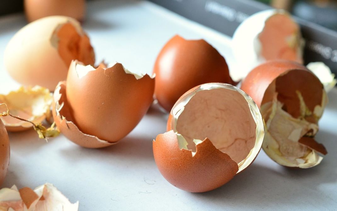 Aus Eierschalen lassen sich überraschende Ostergeschenke basteln.