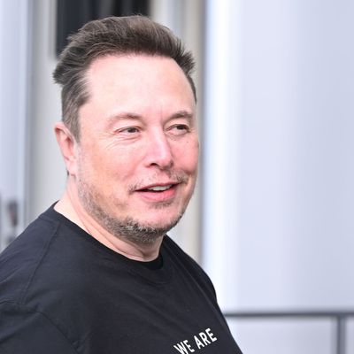 SpaceX-Gründer Elon Musk