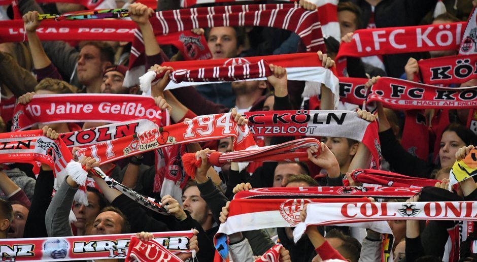 
                <strong>Platz 15: 1. FC Köln</strong><br>
                Gesamtstrecke für Auswärtsspiele: 10.590 Kilometer
              