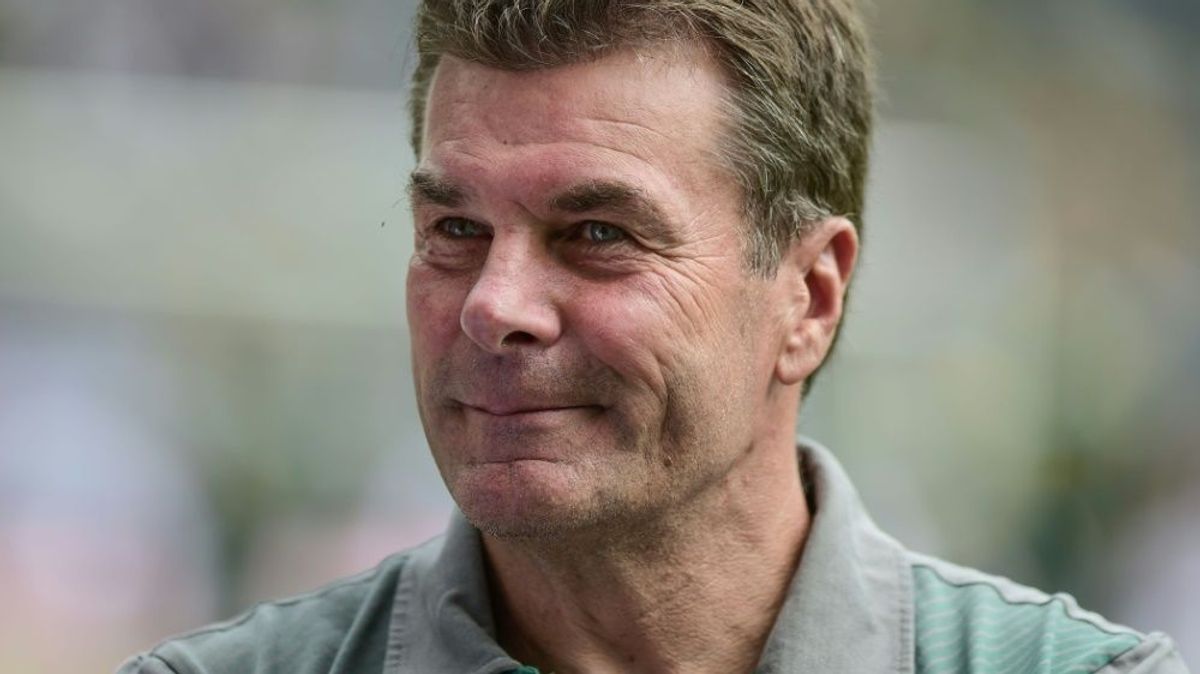 Dieter Hecking nach Weiterkommen im Pokal zufrieden