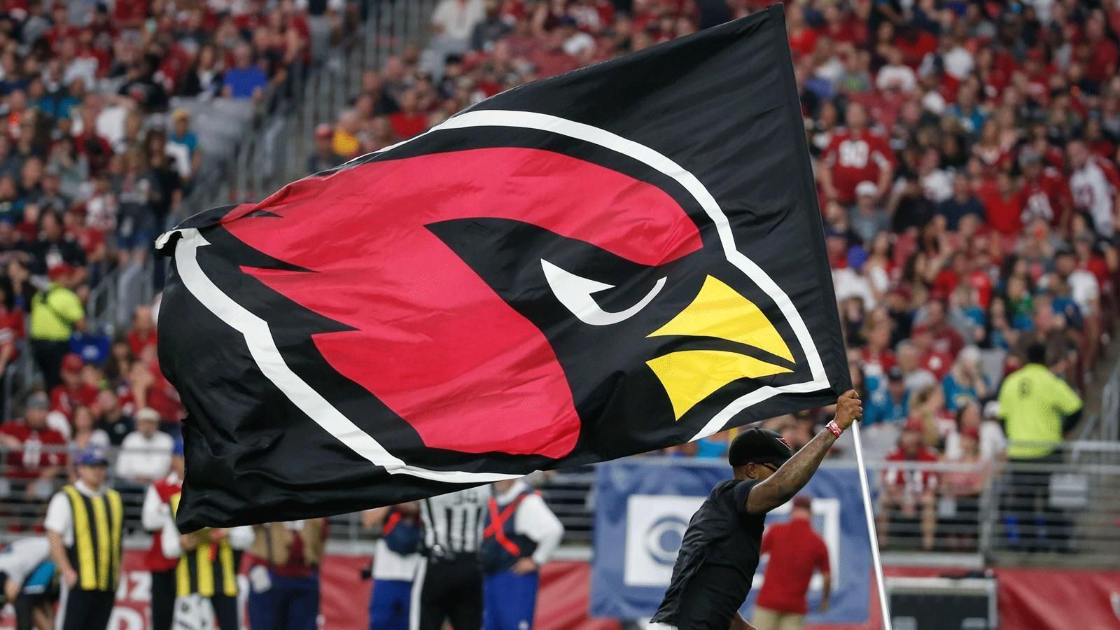 
                <strong>Arizona Cardinals</strong><br>
                American Football war nicht schon immer ein Multi-Millarden-Dollar-Spektakel. Im Gegenteil: Die Vorgängerteams der Arizona Cardinals, die Racine Normals, konnten sich nicht einmal eigene Trikots leisten. Also spielten sie in den aussortierten Jerseys der University of Chicago. Als jemand spottete, dass die Trikots bereits verblasst waren, entgegnete der damalige Besitzer Chris O'Brien, die Jerseys seien nicht verblichen rot, sondern kardinalrot. Dieser Spruch wurde so bekannt, dass die Mannschaft in Cardinals umbenannt wurde.
              