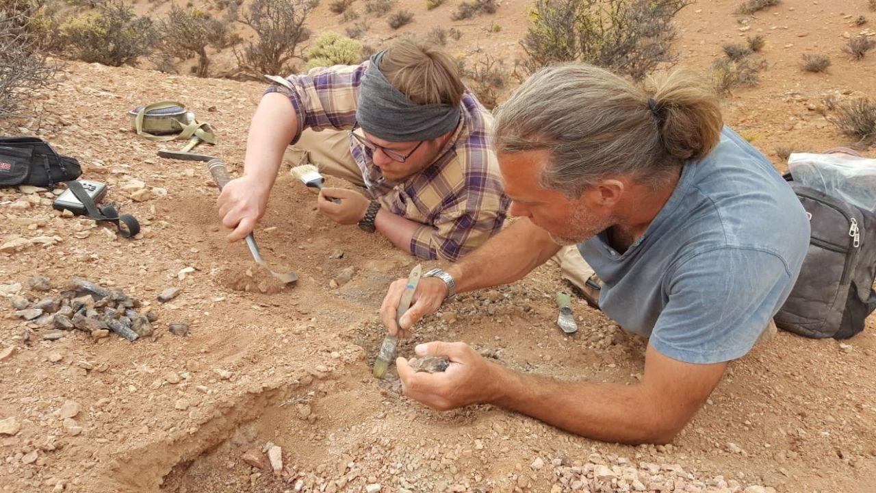 Paläontologen im Teamwork! Oliver Rauhut (rechts) und sein Kollege Serjoscha Evers säubern eine Fundstelle in Chubut, Argentinien. 