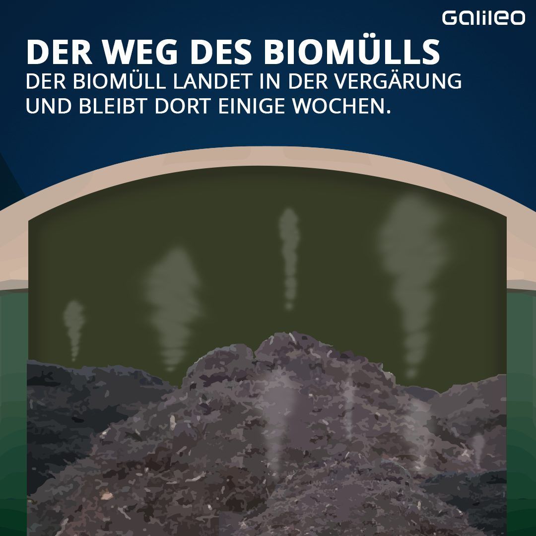 Der Weg von Biomüll. Was passiert damit