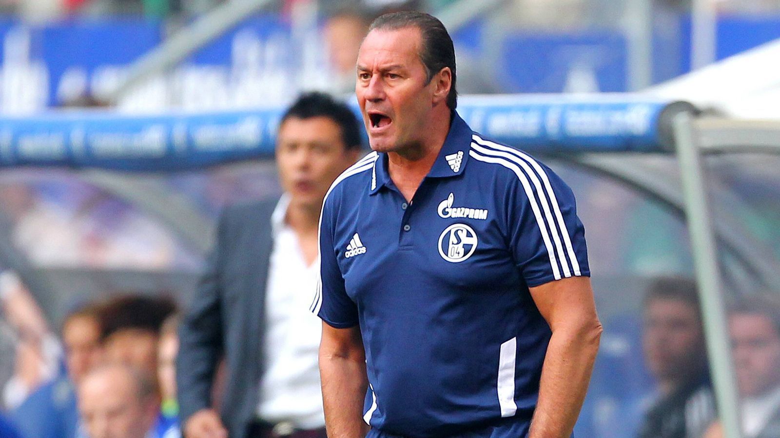 
                <strong>Huub Stevens</strong><br>
                Bundesliga-Debüt als Schalke-Trainer: 2. Oktober 2011 - Begegnung: Hamburger SV - FC Schalke 04 1:2
              