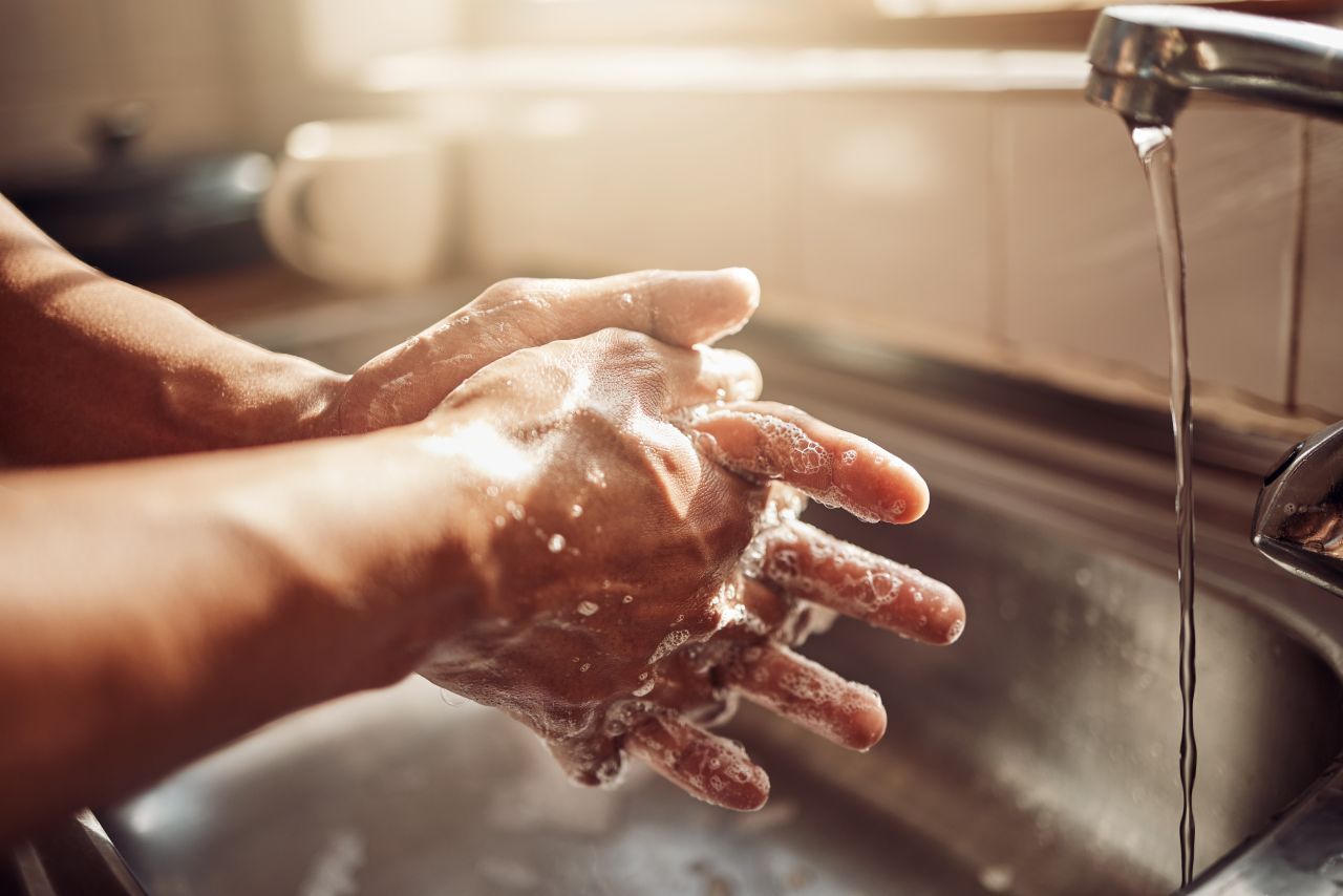 Wichtig: Hände regelmäßig waschen und desinfizieren! Und zwar immer nach dem Toilettengang, vor der Zubereitung von Essen, nach jedem Kontakt mit rohen Tierprodukten - und vor den Mahlzeiten. Das minimiert das Ansteckungsrisiko.