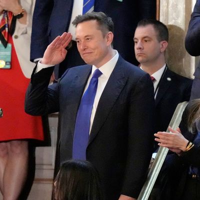 Musk Trump