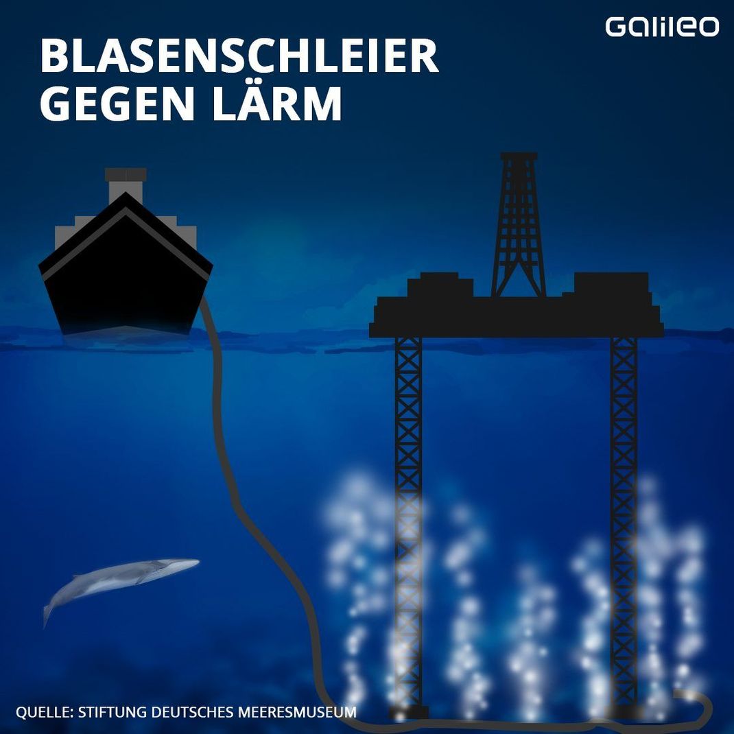 Mithilfe von Schläuchen wird Luft unter Wasser gepumpt, die dann in Form von Blasen entweicht. Diese Luftblasen bilden eine Barriere, die Schwallwellen bricht und damit den Lärm reduziert.