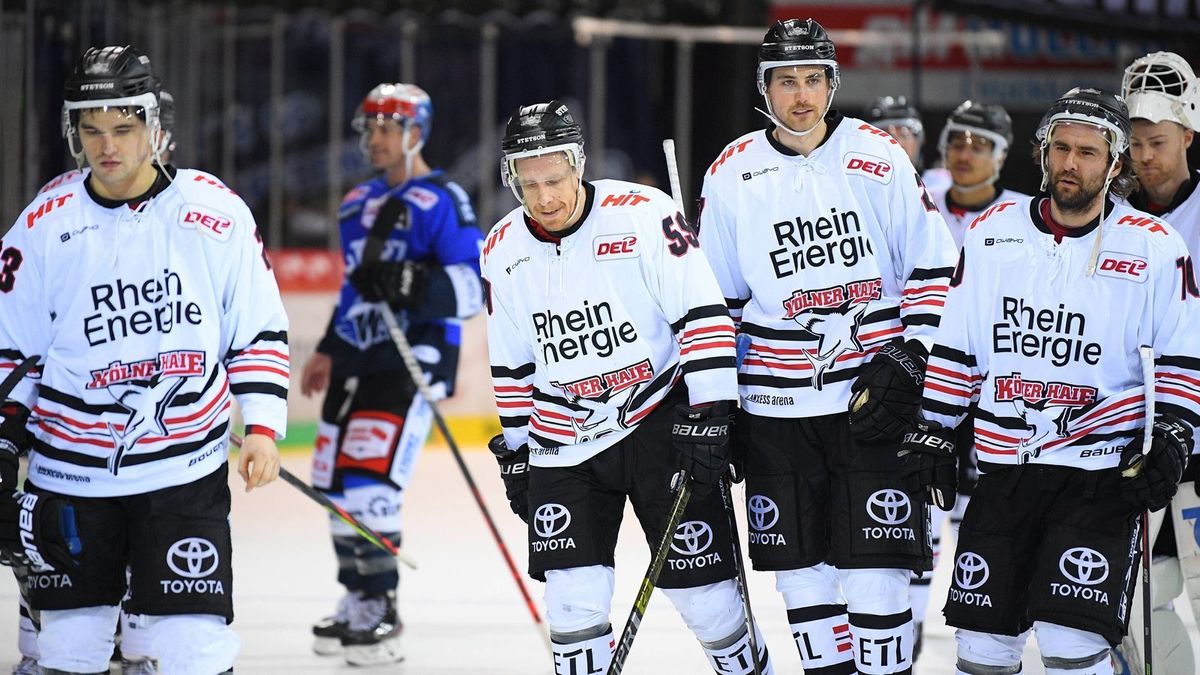 Köln Haie Krise