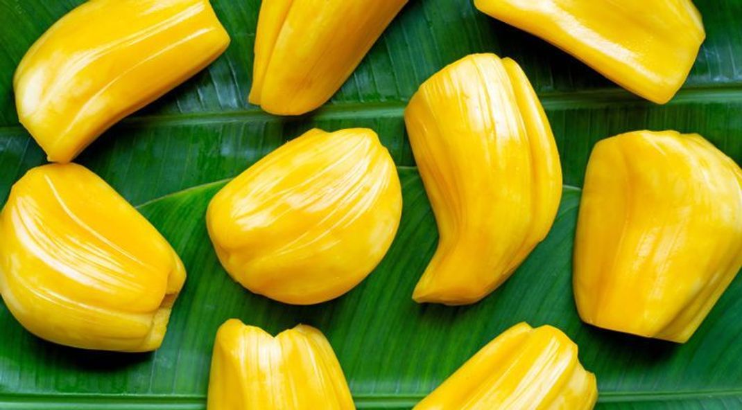 Veganuary: Jackfruit – Wie gut ist der Fleischersatz?