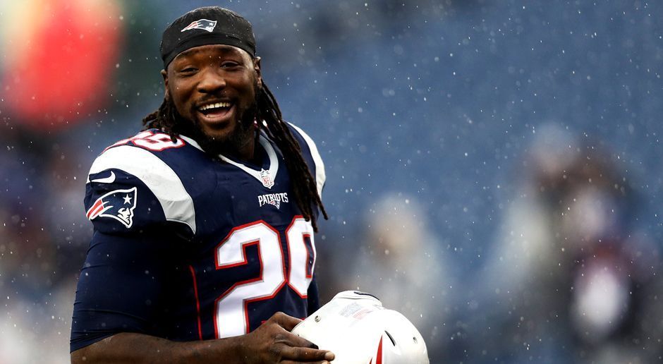 
                <strong>Platz 1: Rushing Touchdowns </strong><br>
                LeGarrette Blount (New England Patriots) - Rushing Touchdowns: 18
              