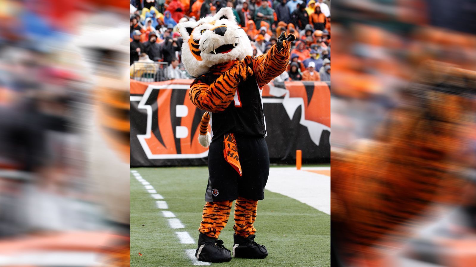 
                <strong>Cincinnati Bengals: Who Dey</strong><br>
                Der Tiger aus Cincinnati hört auf den Namen Who Dey. Benannt ist er nach einem bekannten Gesang der Bengals-Fans: "Who dey think gonna beat dem bengals?" ("Wer sind sie, dass sie denken, sie könnten die Bengals schlagen?")
              