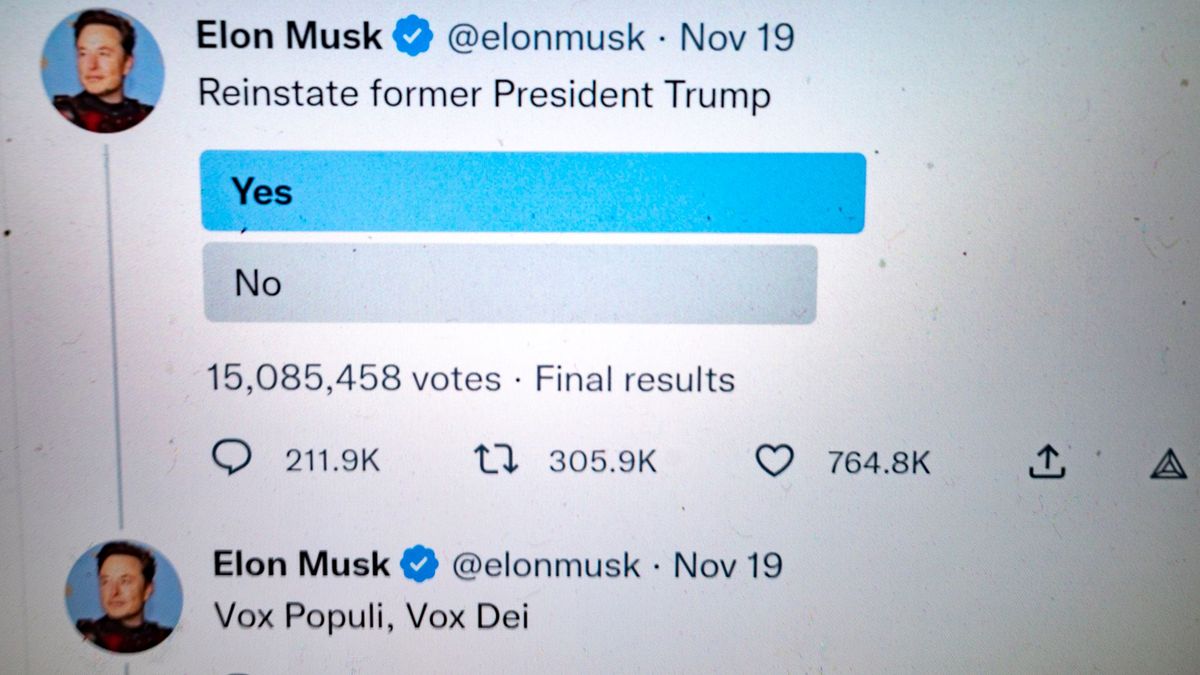 Eine Umfrage von Twitter-Chef Elon Musk.