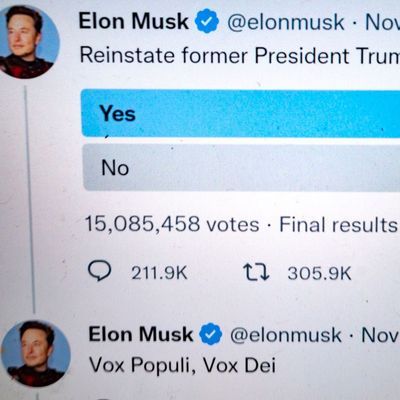 Eine Umfrage von Twitter-Chef Elon Musk.