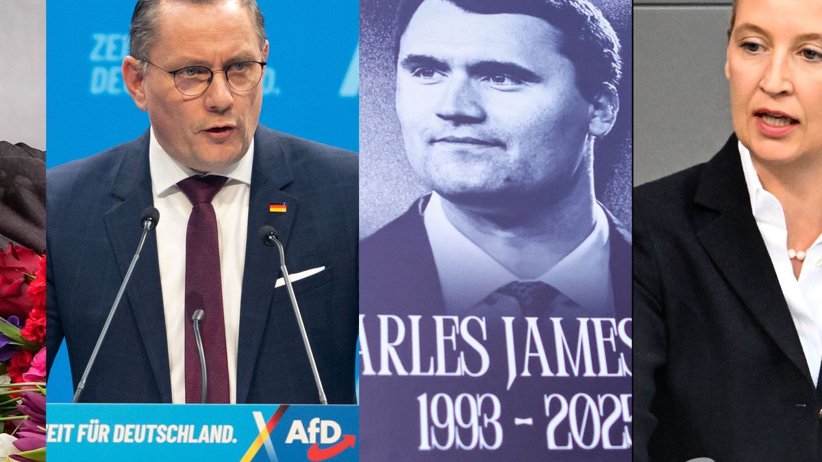 Politik