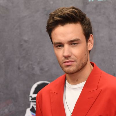 Sänger Liam Payne