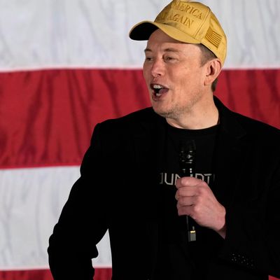 Election 2024 Musk