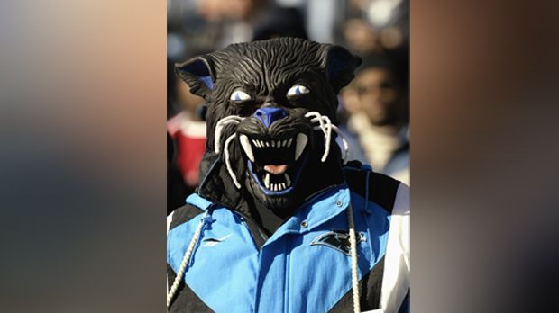 
                <strong>Carolina Panthers</strong><br>
                Dieser Fan der Carolina Panthers verkleidet sich - richtig - als Panther!
              