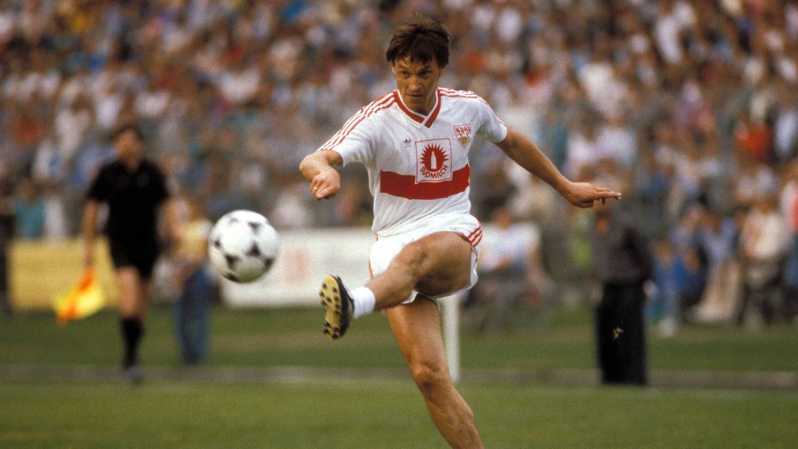 
                <strong>Asgeir Sirgurvinsson</strong><br>
                &#x2022; FC Bayern München: 1981 bis 1982 -<br>&#x2022; VfB Stuttgart: 1982 bis 1990<br>
              