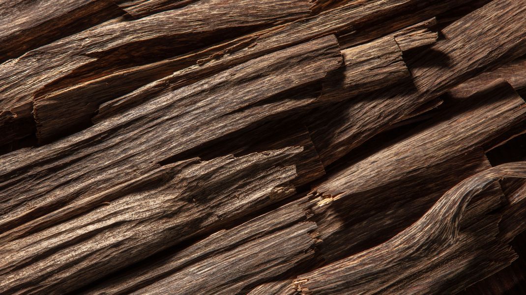 Oud ist verharztes Holz - was simpel klingt, kann mehrere Tausend Euro kosten.