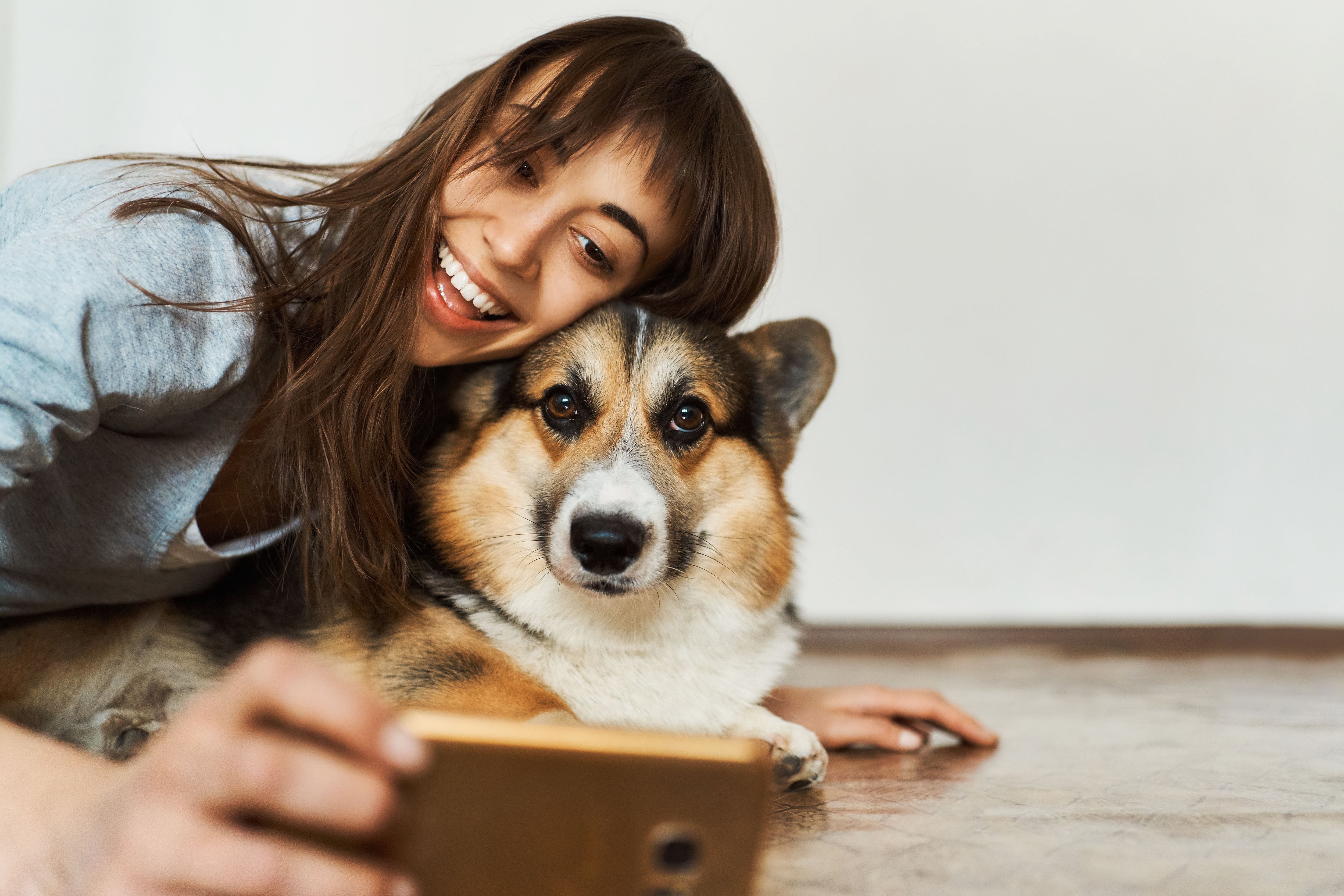 Los animales traen felicidad no solo a quienes los acarician, sino también a quienes miran estas bellas imágenes.