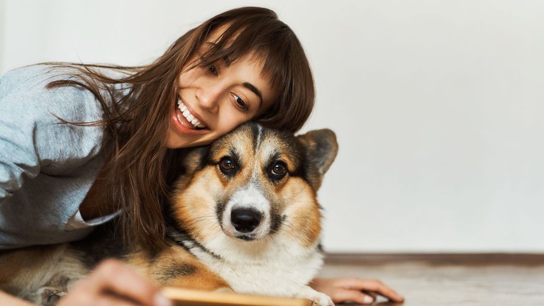 Tiere bescheren nicht nur denjenigen gute Laune, die sie streicheln, sondern auch denen, die diese süßen Fotos ansehen.