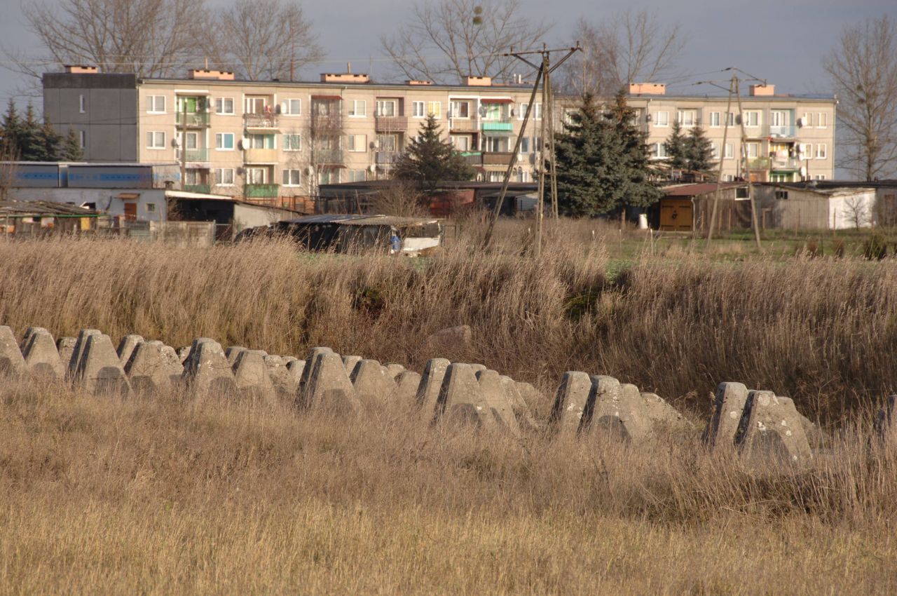 Panzersperren als Teil des Ostwalls nahe Pniewo.