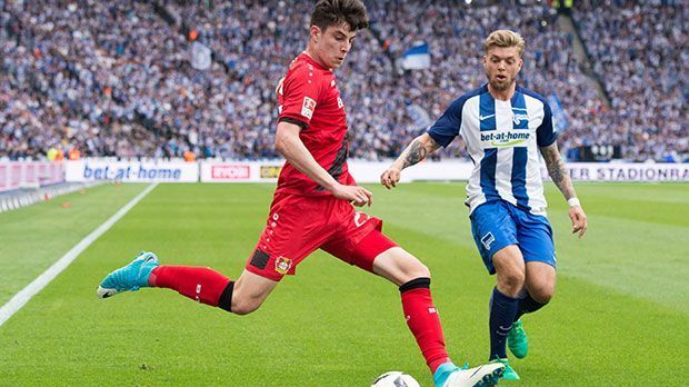 
                <strong>Rechtes Mittelfeld: Kai Havertz (Bayer 04 Leverkusen)</strong><br>
                Auch Kai Havertz gehört zum erfahrenen Personal unter den U19-Spielern der Bundesliga. Im Oktober 2016 gab der nun 18-Jährige sein Profidebüt und ist damit der jüngste eingesetzte Spieler seines Vereins im Profiteam. Vor sieben Jahren kam der Mittelfeldspieler aus Aachen zur Werkself. Vergangene Saison schoss er vier Tore in der Bundesliga und legte sechs weitere Treffer auf.
              