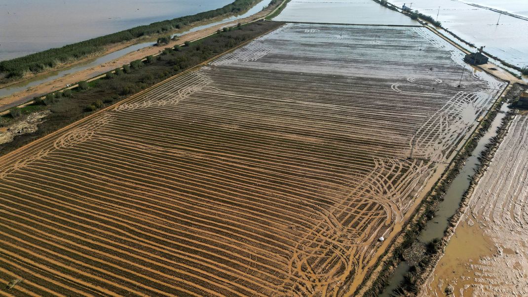 Die Überschwemmungen in Spanien haben tausende Hektar Anbauflächen zerstört - wie hier die Reisfelder von Albufera.