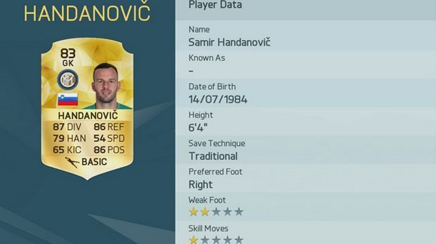 
                <strong>Samir Handanovic</strong><br>
                Samir Handanovic
              