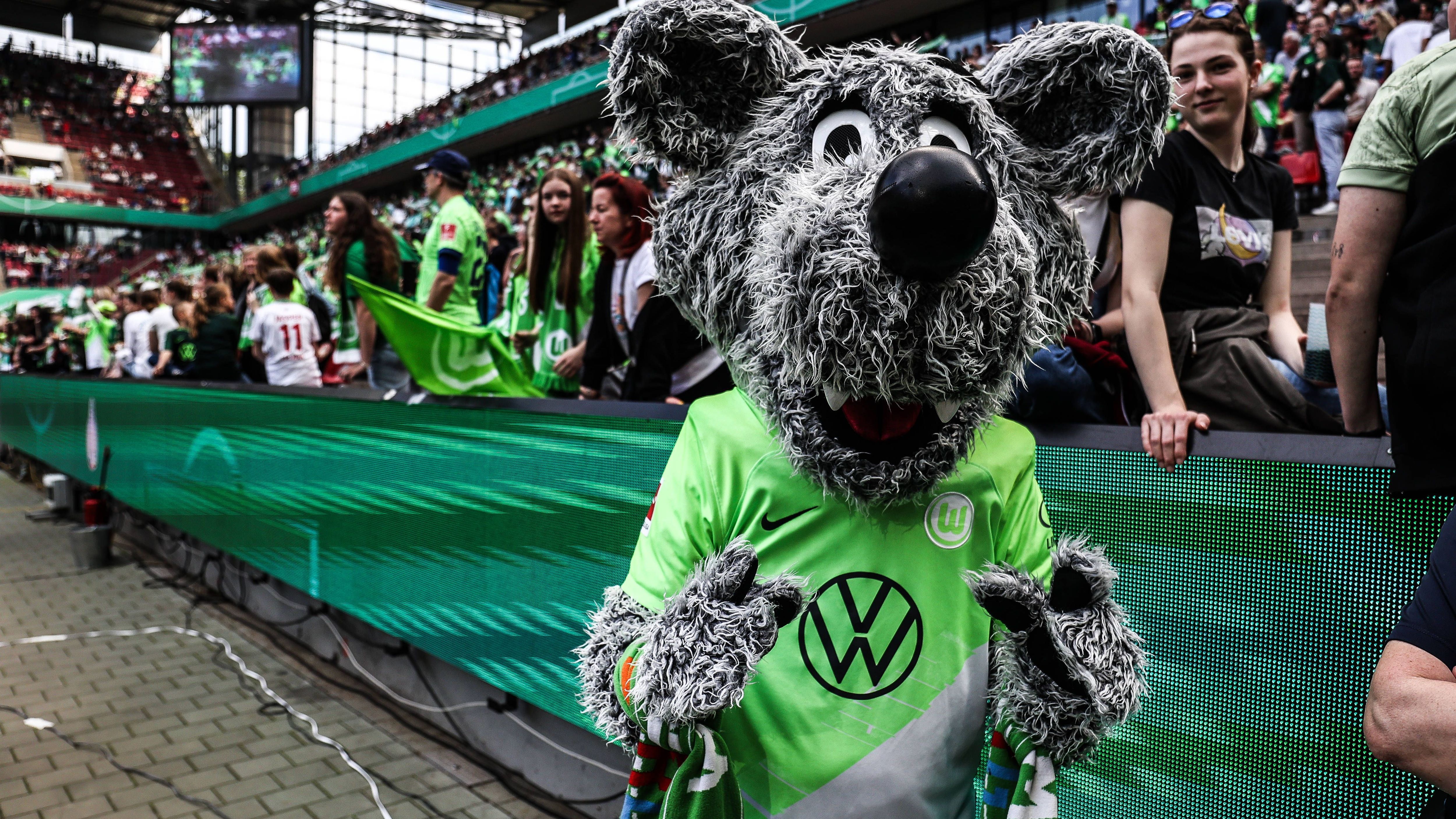 <strong>VfL Wolfsburg: Wölfi</strong><br>Das Maskottchen der Hasenhüttl-Auswahl ist - wie sollte es auch anders sein - ein Wolf. Im Dezember zeigt sich Wolfi gerne mal in Weihnachtsstimmung.