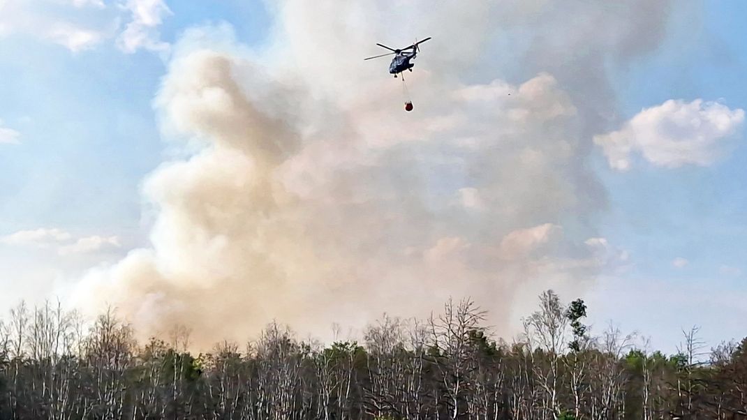 Waldgebiete in Brandenburg fangen immer wieder Feuer.