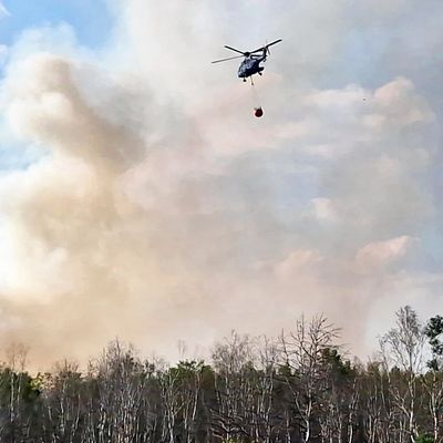 Waldbrand bei Jüterbog