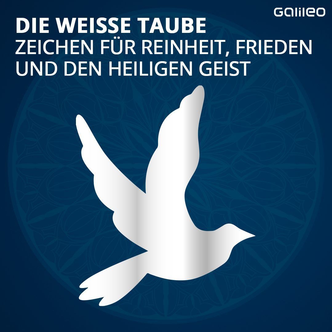 Symbole im Christentum Taube