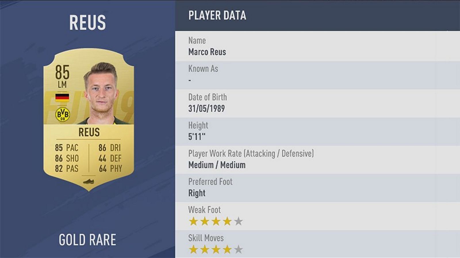 
                <strong>Marco Reus - Rating: 85</strong><br>
                Der BVB-Star hat im Vergleich zu FIFA 18 einen Gesamtwertungspunkt eingebüßt. Seine Geschwindigkeit und Passsicherheit haben ein bisschen abgenommen. Vielleicht kann Reus seine Werte wie im vergangenen Jahr durch starke Leistungen auf dem Platz verbessern und sich ein paar In-Forms sichern.
              