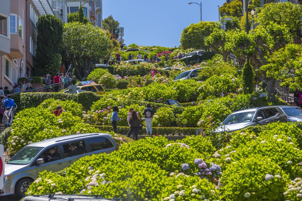 10 Kurven auf 145 Metern: Die begrünte Lombard Street in San Francisco ist die kurvenreichste Straße der Welt. In eine serpentinenförmige Einbahnstraße (bergabführend) wurde sie 1922 umgebaut, damit Autofahrer das steile Gefälle von 27 Prozent besser bewältigen können.