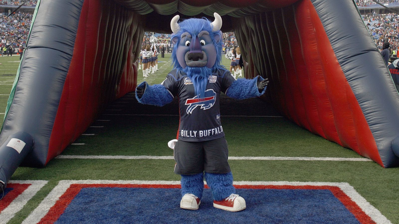 
                <strong>Buffalo Bills: Billy Buffalo</strong><br>
                Billy Buffalo ist das Maskottchen der Buffalo Bills. Der Büffel ist 2,40 Meter groß und läuft auf den Hinterbeinen. Für ein Erinnerungsfoto ist Billy immer zu haben.
              