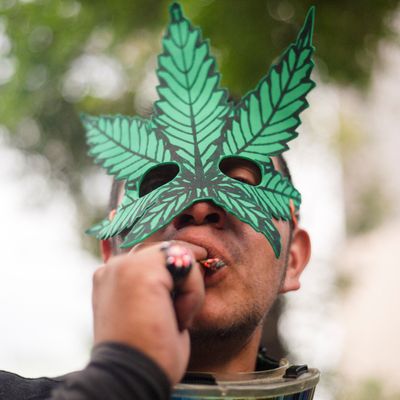 MEXICO-MARIJUANA/