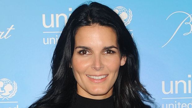 Angie Harmon Image
