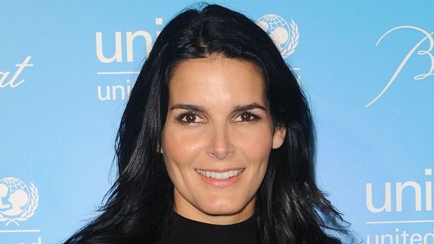 Angie Harmon Image