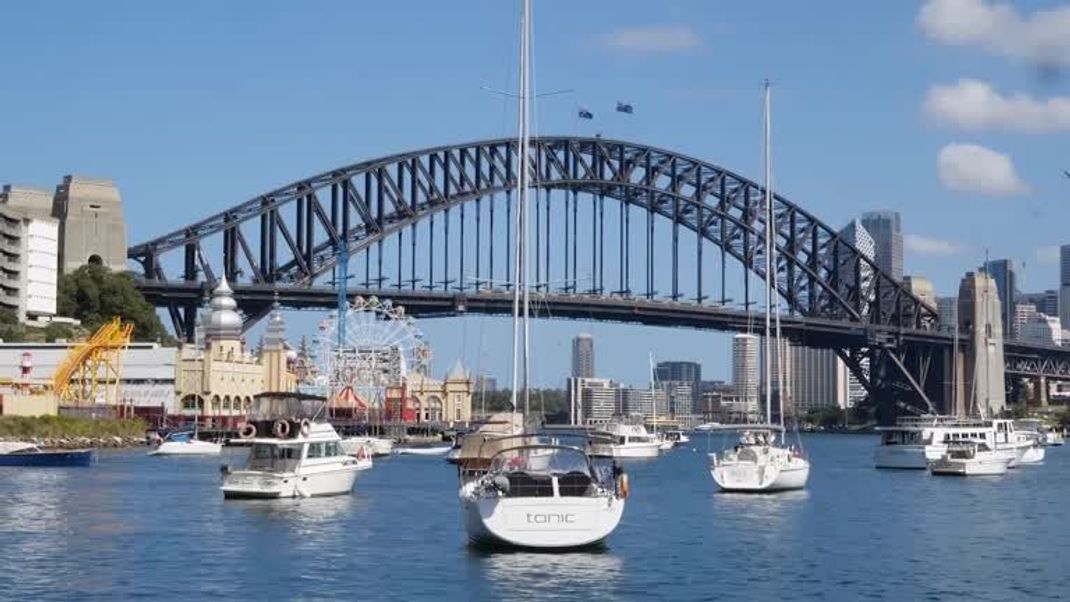 Im Hafenbecken von Sydney wurde eine Frau von einem Hai schwer verletzt.
