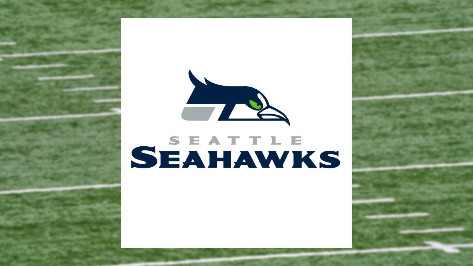 
                <strong>Seattle Seahawks</strong><br>
                Pokemon: Schwalboss
              