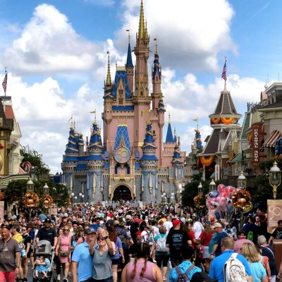 Frau stirbt nach Restaurantbesuch in Disney World