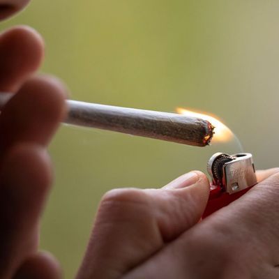 Auch beim einfachen Joint lauern heute neue Gefahren – weil sich Zusammensetzung und Wirkung geändert haben.