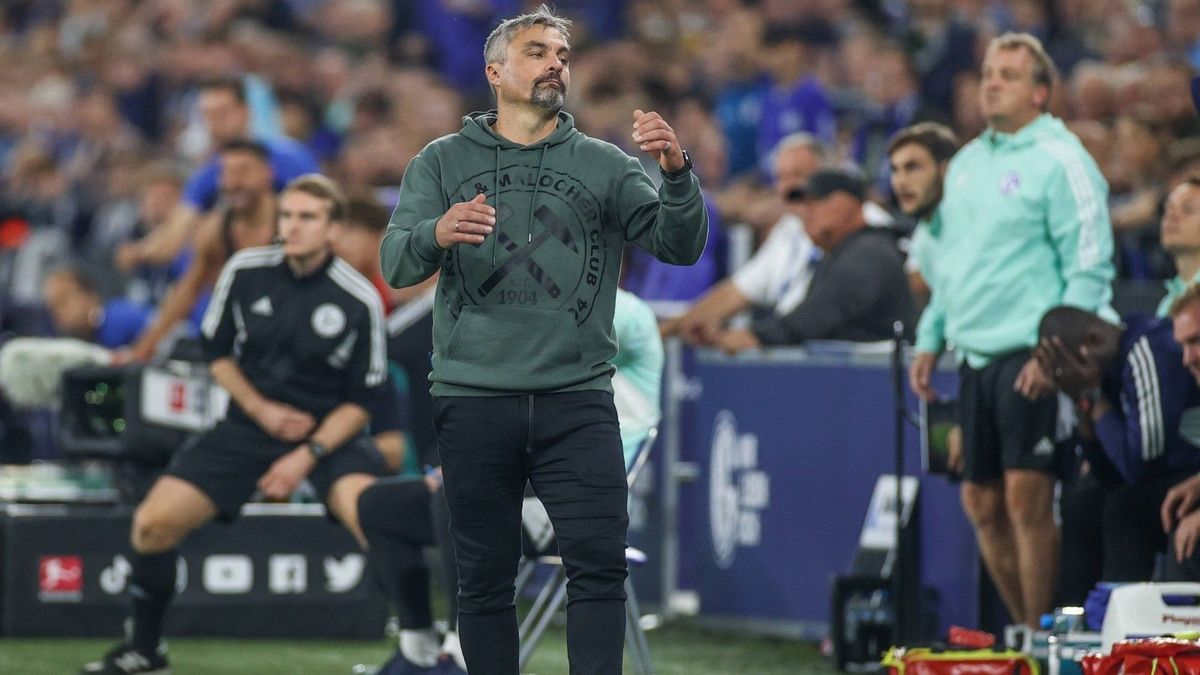 Schalke unterliegt Freiburg