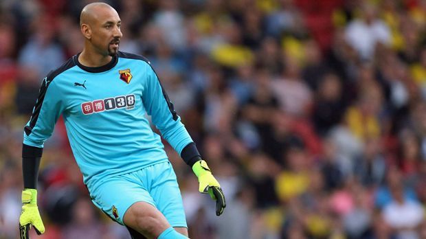 
                <strong>FC Watford</strong><br>
                Platz 14: Watford FC. Der Aufsteiger kassiert mit 3,1 Millionen Euro pro Saison schon einen deutlich größeren Betrag. Bei den "Hornets" wirbt das Wettunternehmen 138.com. 
              