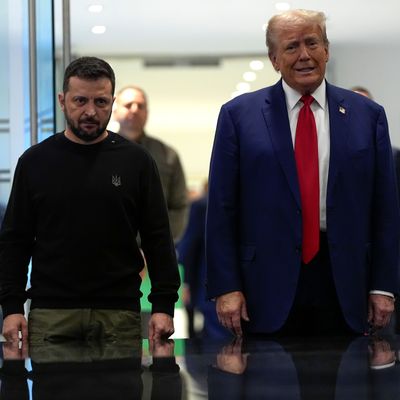 Der republikanische Präsidentschaftskandidat Donald Trump macht den ukrainischen Präsidenten Wolodymyr Selenskyj für den russischen Einmarsch in die Ukraine verantwortlich. 