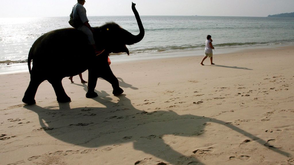 Thailand-Urlaub: 6 Reise-Tipps zu Attraktionen und Mobilität für Touristen im September
